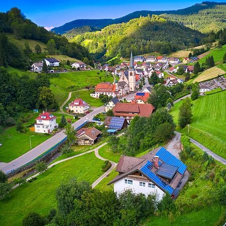 Steepleview House, Schwarzwaldblick Apartment - Spacious & Peaceful Бад-Петерсталь-Грисбах Экстерьер фото