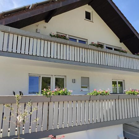 Steepleview House, Schwarzwaldblick Apartment - Spacious & Peaceful Бад-Петерсталь-Грисбах Экстерьер фото
