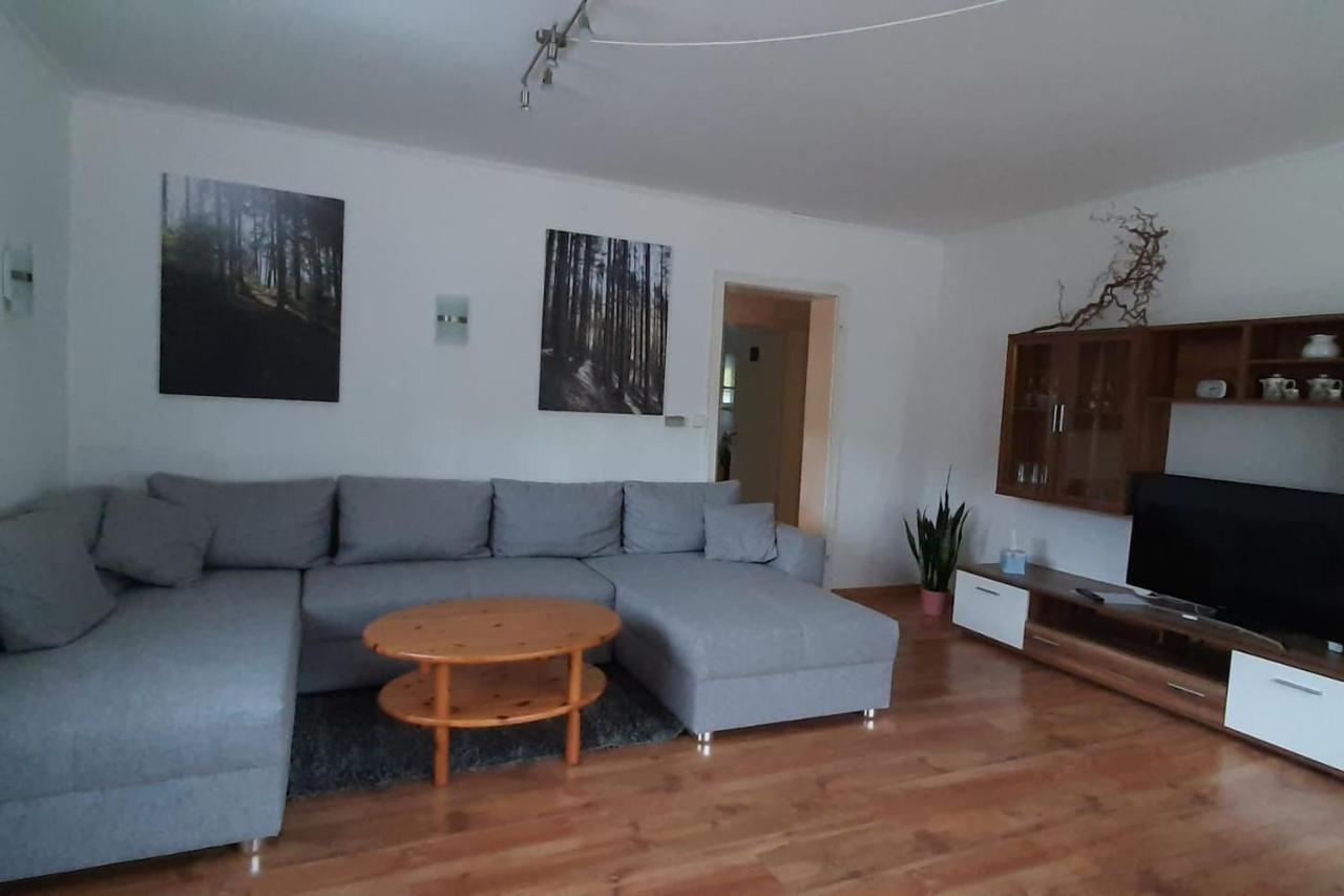 Steepleview House, Schwarzwaldblick Apartment - Spacious & Peaceful Бад-Петерсталь-Грисбах Экстерьер фото